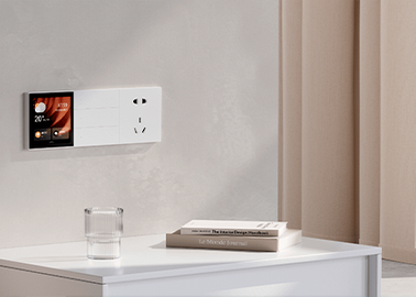 Switch & Socket